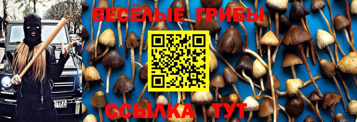 Орёл  Галлюциногенные грибы мухоморы  Галлюциногенные грибы Magic Shrooms  Вход с VPN 